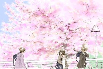 真实小王子全集